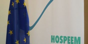 Sectoral Social Dialogue Committee for the Hospital and Healthcare Sector: Main activities and outcomes in 2017